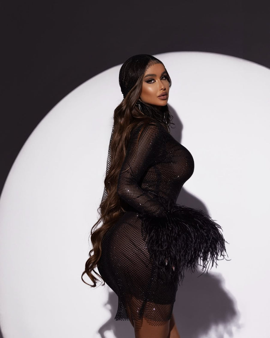 Diamond Swan Embellished Ostrich Feather Long Sleeve Mini Dress in Black