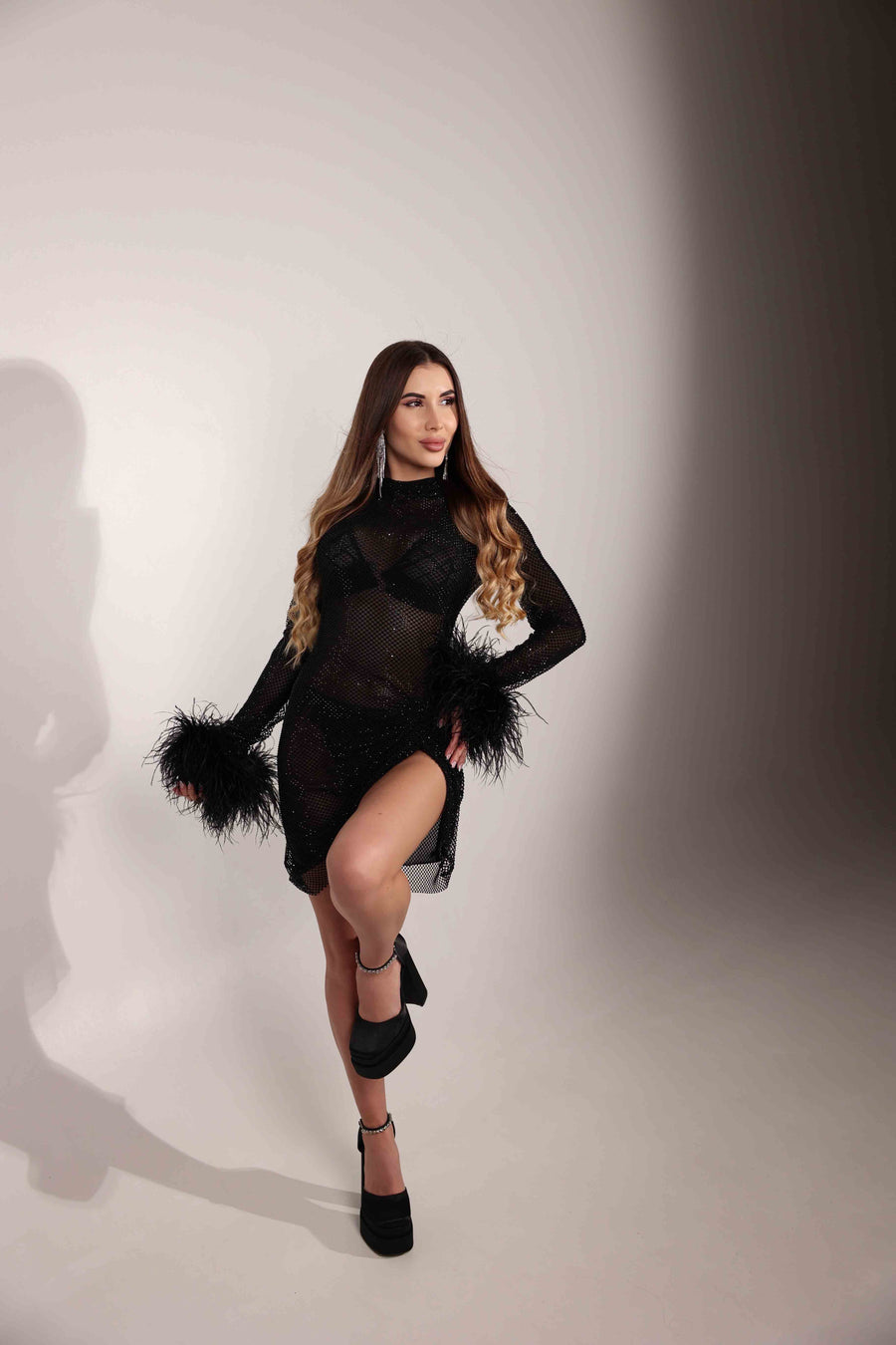 Diamond Swan Embellished Ostrich Feather Long Sleeve Mini Dress in Black