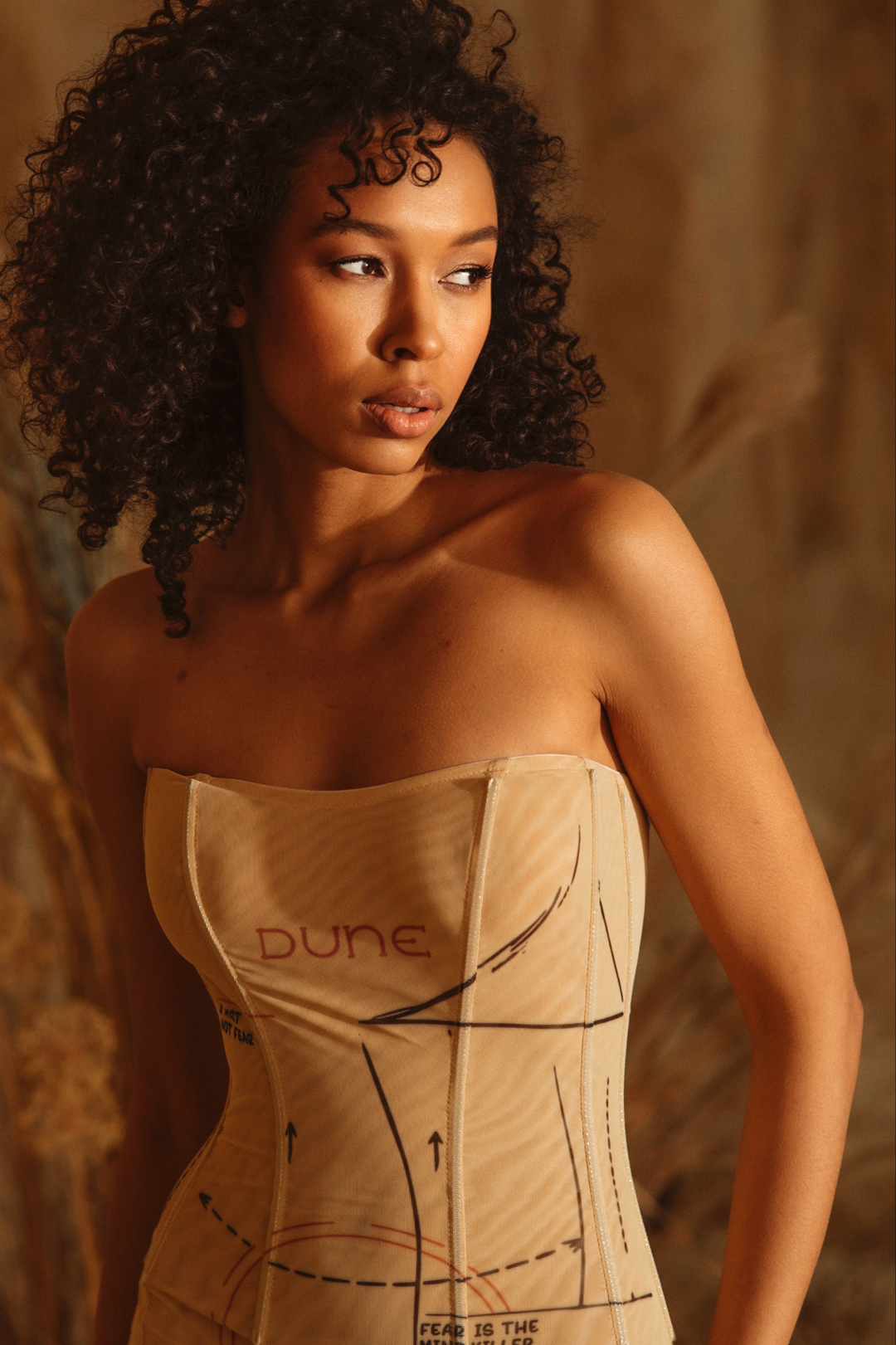Dune Mesh Corset Mini Dress in Beige